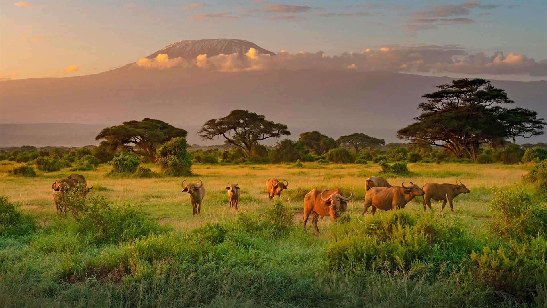 非洲十大最美丽的地方 感受惊艳世界的壮美非洲 - 非洲