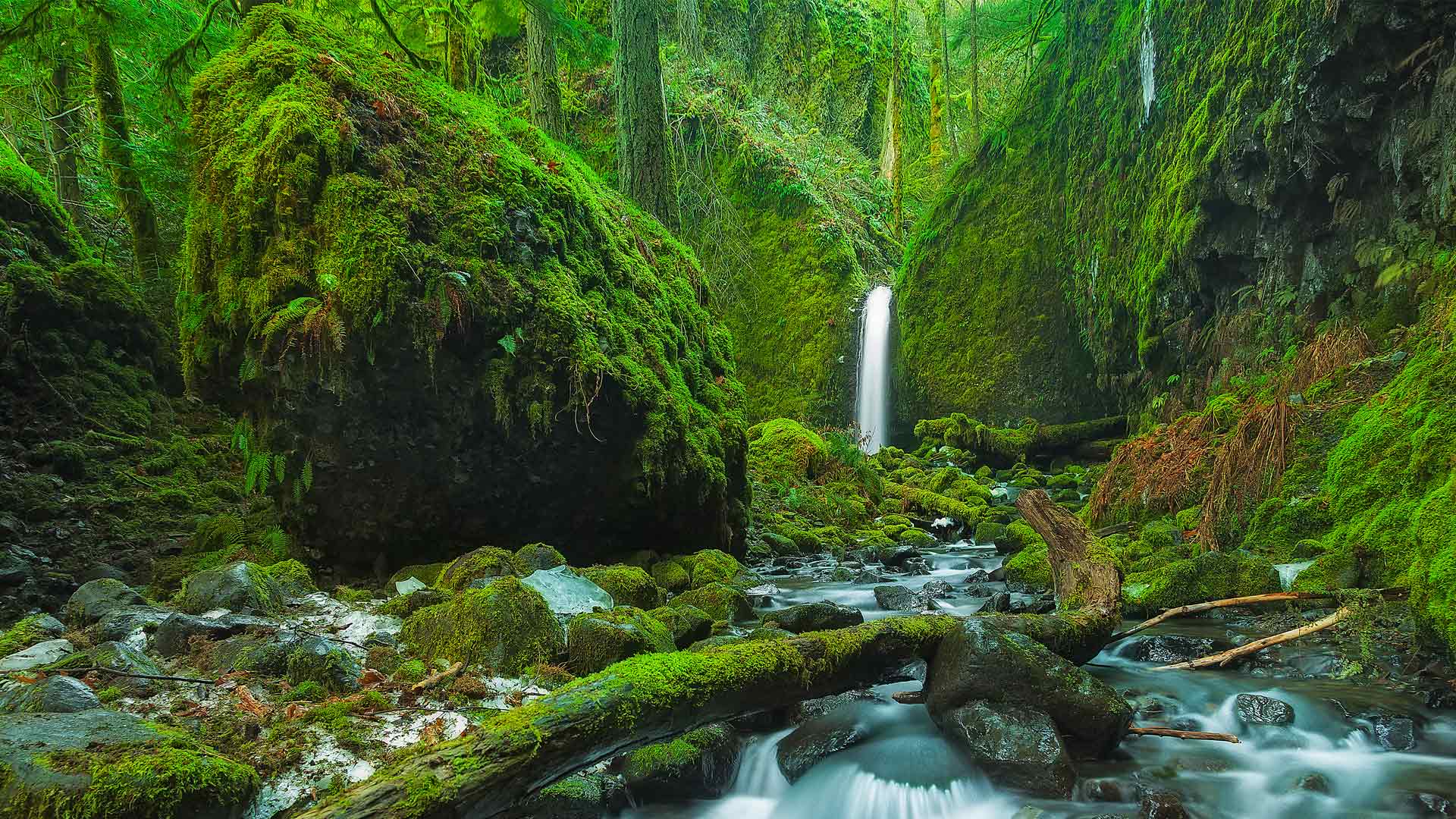 Mossy Grotto Falls