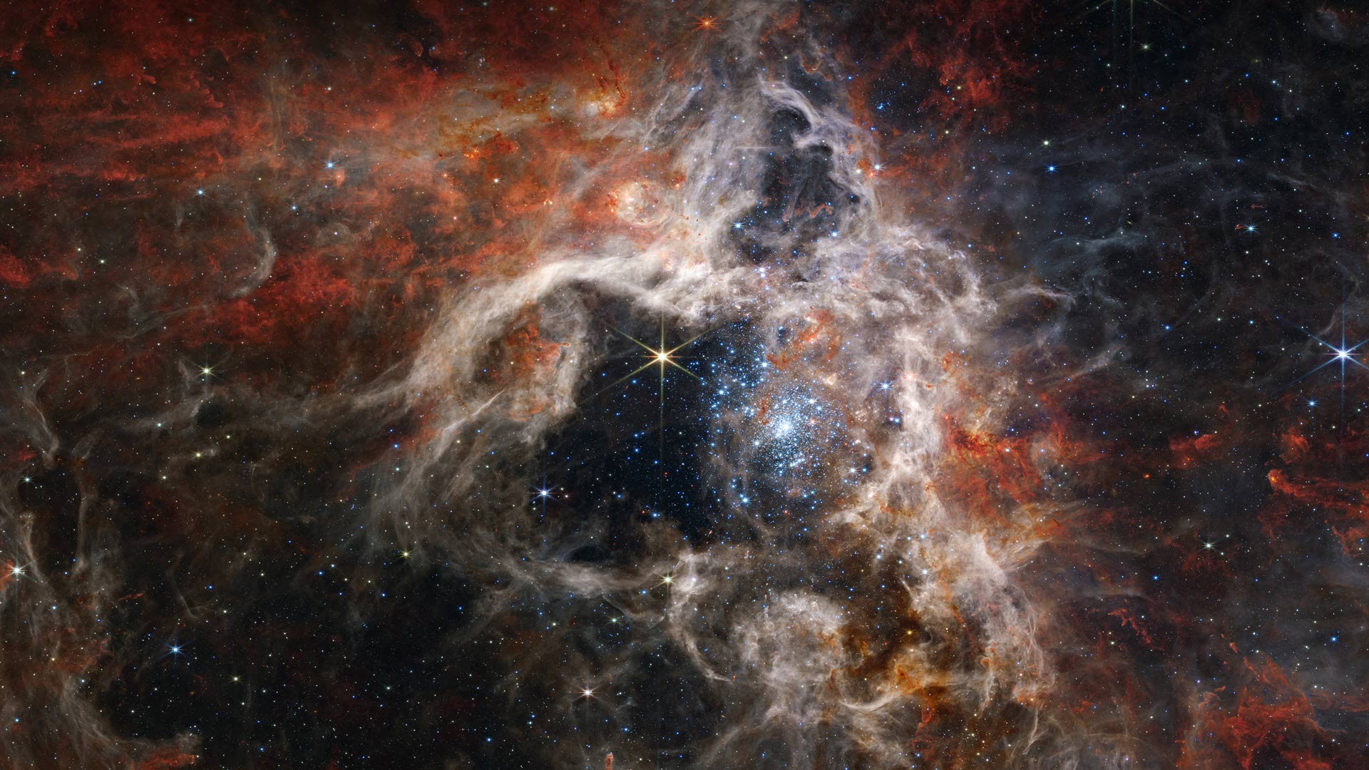 Young stars forming in the Tarantula Nebula