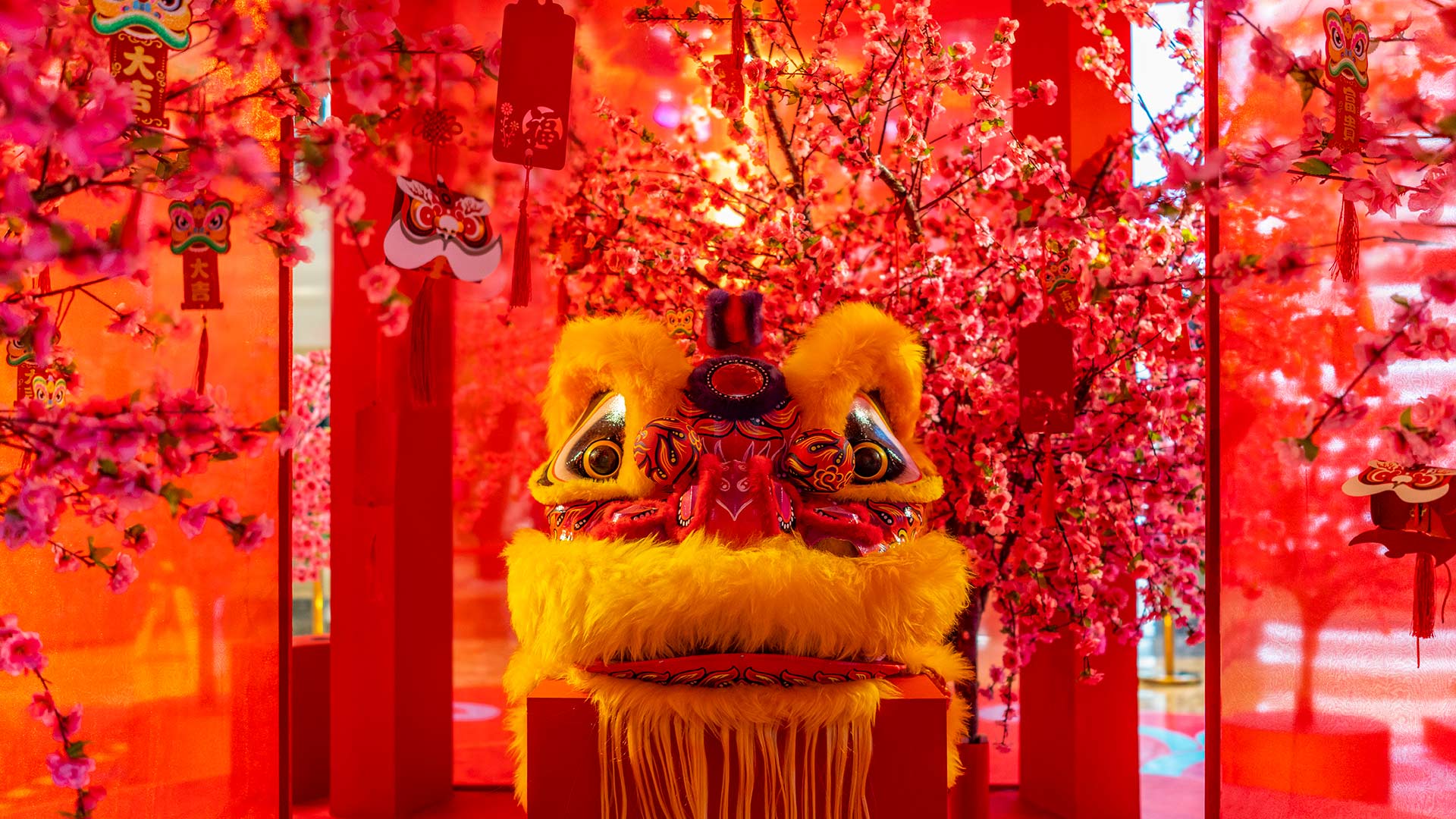 Chinese lion dance, Spring Festival