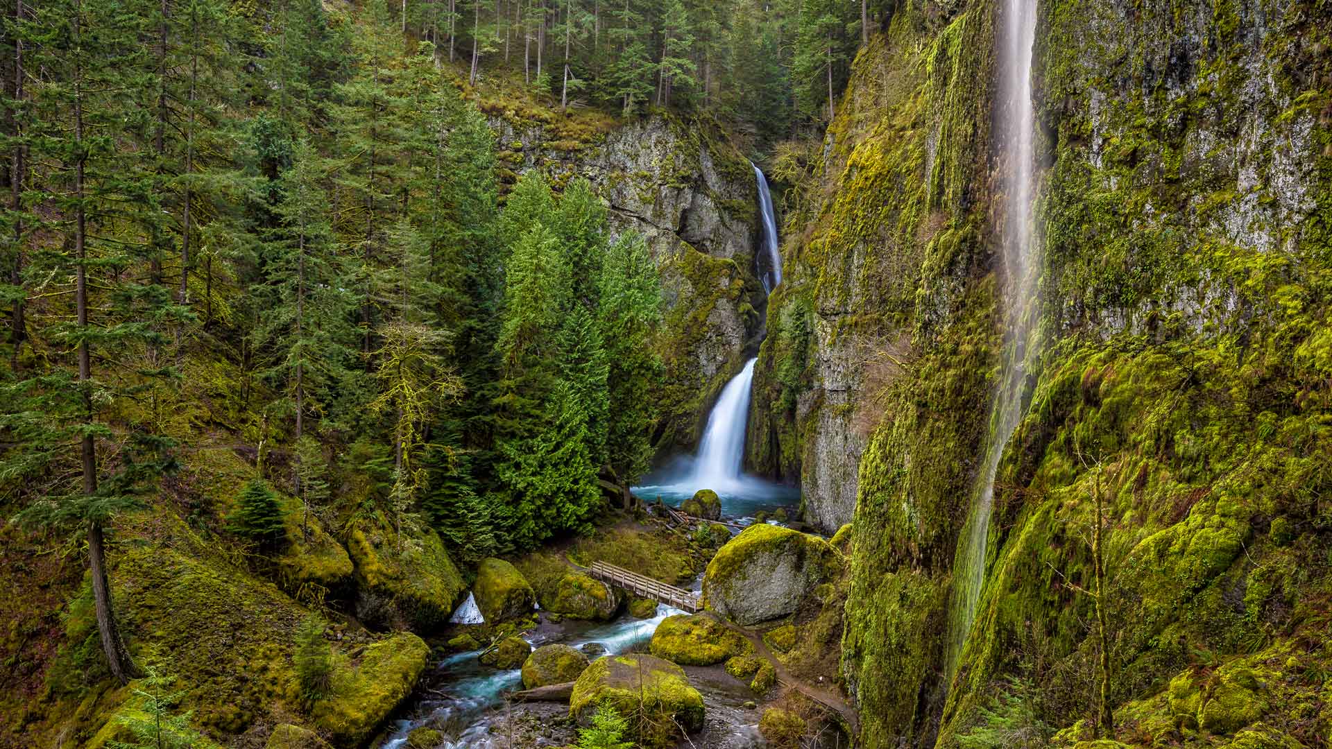 Wahclella Falls in the Columbia River Gorge