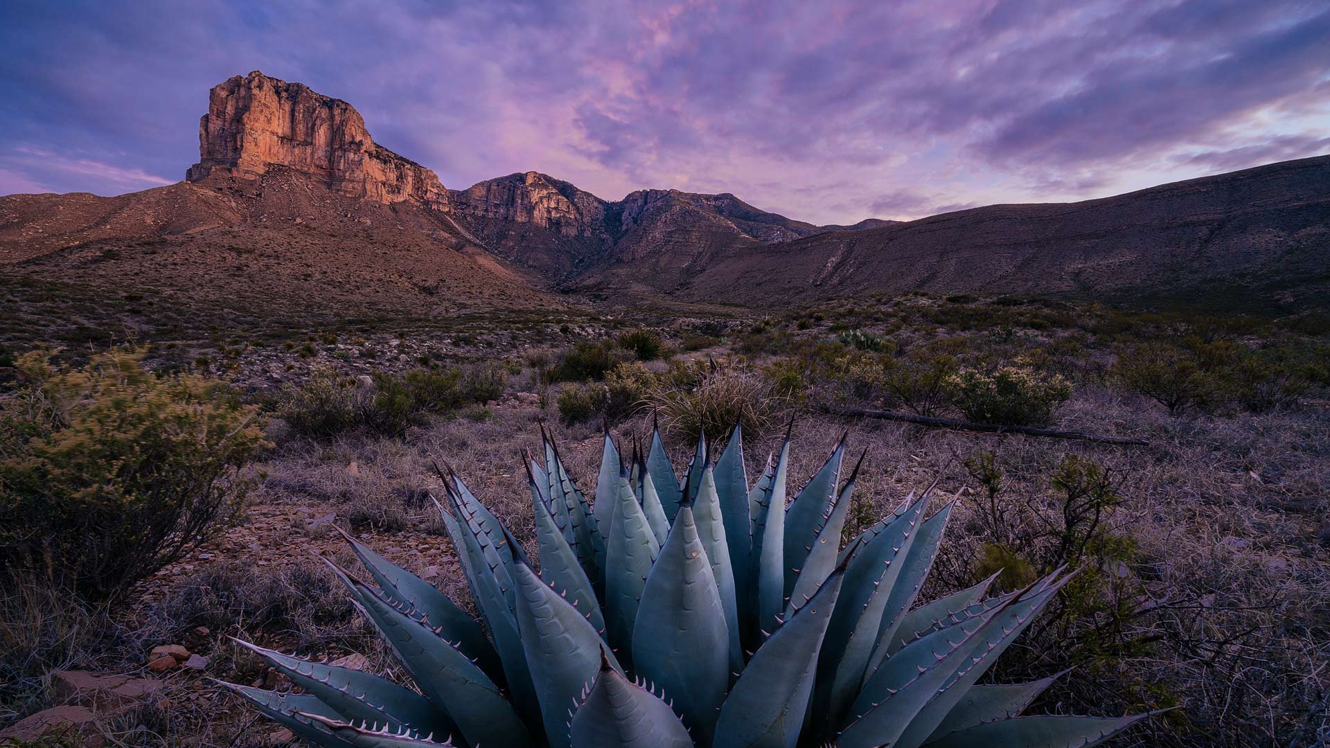 El Capitan at sunrise in Guadalupe Mountains National Park