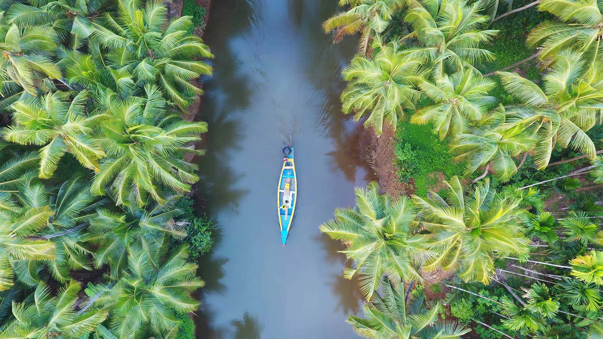 Aerial view of a boat in Kerala
