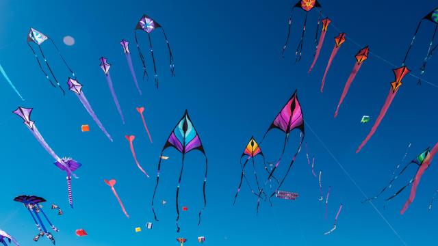 阿德莱德国际风筝节