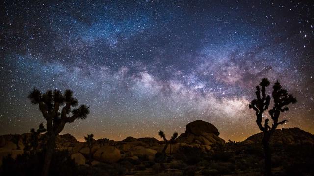 约书亚树国家公园上空的银河
