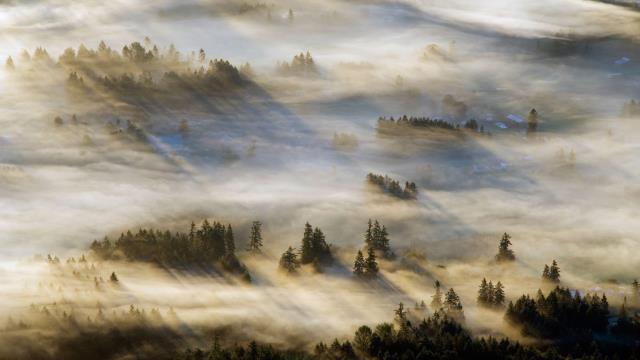 Mist in the Cowichan Valley on Vancouver Island
