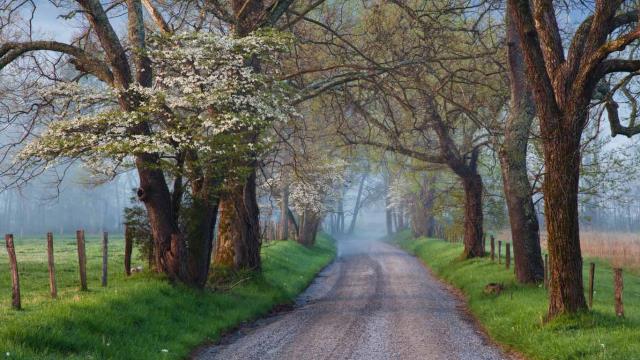 Sparks Lane in Cades Cove