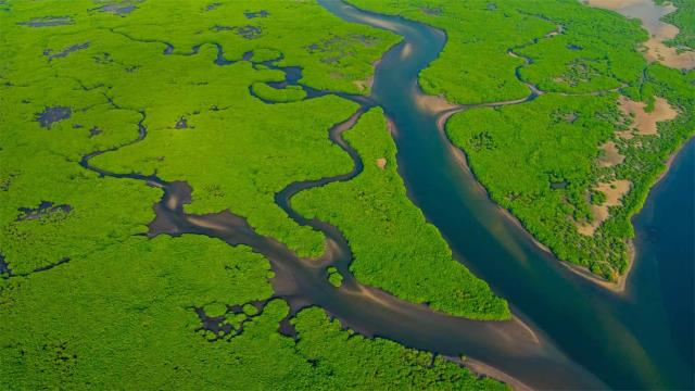 亚马逊河鸟瞰图